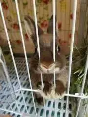ここ♡プロフ一読お願い致します♡