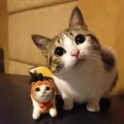 ぶちみさん