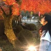 あいの画像
