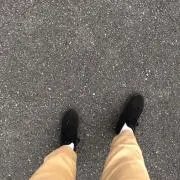 せちゃ