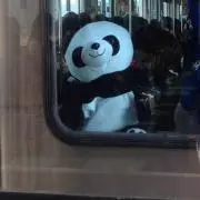 たか