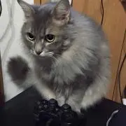 みゆきてぃ~
