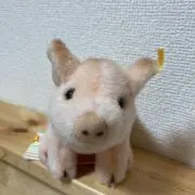 Duffyの画像