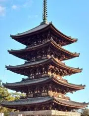 梅の画像