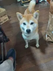 くうかいの画像