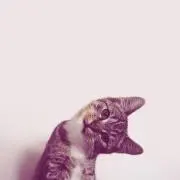たろ