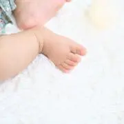 shiroの画像