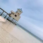 AMの画像