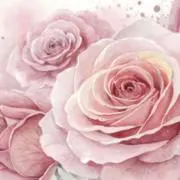 ROSEの画像