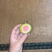サブリナ発送8月からの画像