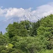 pokotaの画像