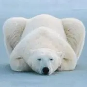 AK