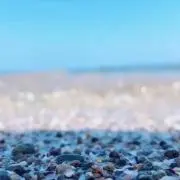 フィーバーの激安ショップ！