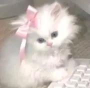 はにわの画像