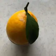 レモン