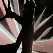 とらの古着