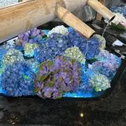 ぷうたろう(^ ^)の画像