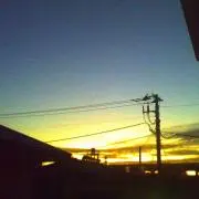 えりんぎ
