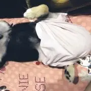 March❗プロフィルを見て