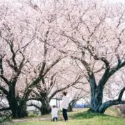 りいの画像