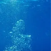 Moの画像
