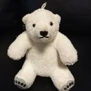 シロクマの画像