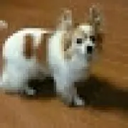 そらまめ