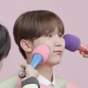ぷまの画像