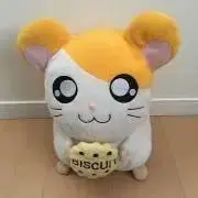 メイメイの画像