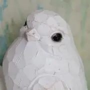 くれはの画像