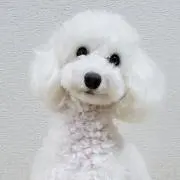たっち