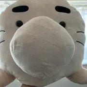 どせいやんの画像