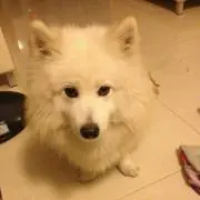 結ロウの画像