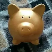 金のブタ