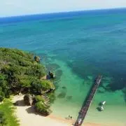 Pino【24時間以内発送】の画像