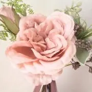 feliceの画像