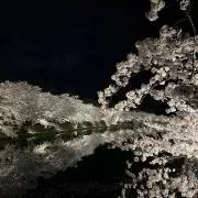 reoの画像