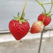 のあの画像
