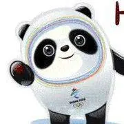 2024断捨離&即購入の画像