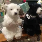 きのこの画像