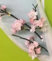 はる⭐️プロフ必読