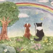 バロバロ