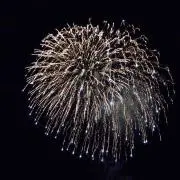 まるふぉい