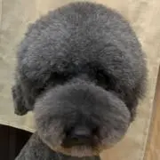しょうちゃん　プロフ必読