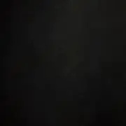 りゅー