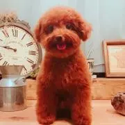 ぜひご活用ください♡