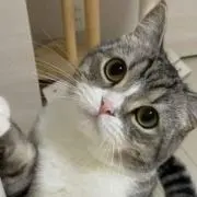 どげんかせんとあかん
