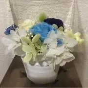 ミューの画像