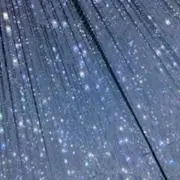 リッツの画像