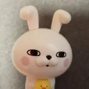 夏珠姫